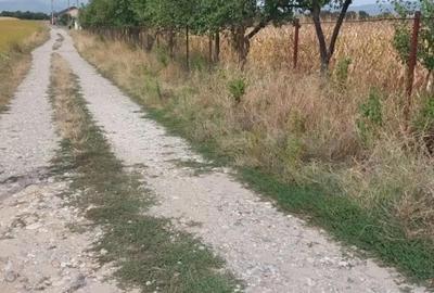 Teren de 1000 mp, în Ruda - 3