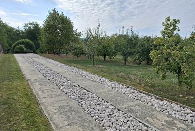 Casă cu 3 camere în Colibași