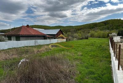 Teren Construcții intravilan de 2892 mp, în Luncani - 6