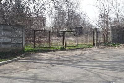 Teren de 2996 mp, în Vest - 6