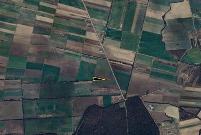 Teren agricol extravilan de 5500 mp, în Giroc - 2