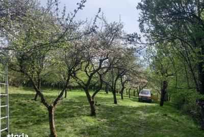 Teren de 2000 mp, în Rășinari