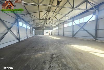 Spațiu comercial, de 517 mp, în Ciurea - 1