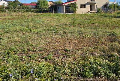 Teren Construcții intravilan de 1000 mp, în Mândrești-Munteni - 6