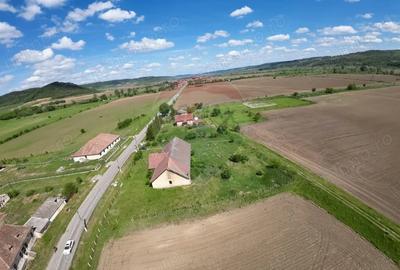 Teren de 3436 mp, în Hoghilag - 6