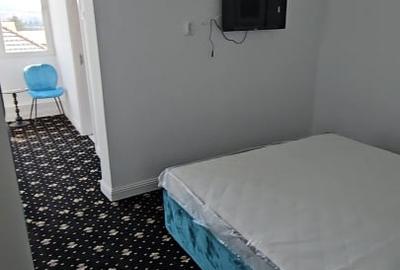 Hotel/Pensiune, de 500 mp, în Grigorescu - 6