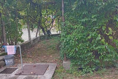 Casă cu 2 camere cu Teren 392 Mp în Rugășești