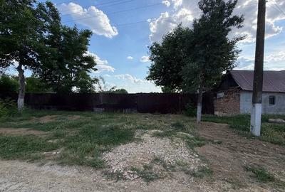 Casă cu Teren 6516 Mp în Boiu - 5