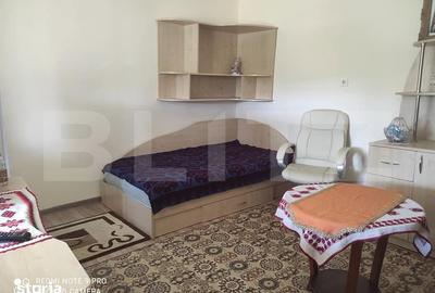Casă cu 3 camere cu Teren 2323 Mp în Criș
