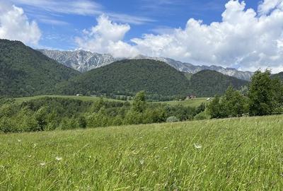 Teren de 8800 mp, în Peștera - 3
