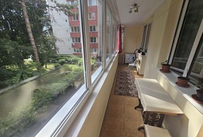 Apartament cu 3 camere decomandat, mobilat în Gheorghe Doja - 8