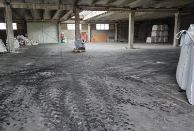 Spațiu industrial, în Dornești - 8