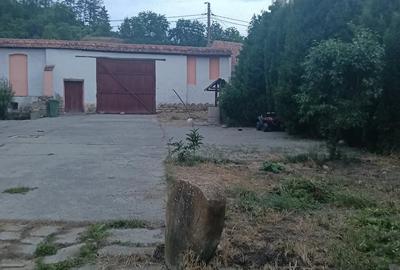 Casă cu Teren 1439 Mp în Saschiz - 2