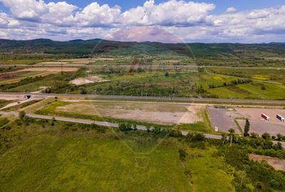Teren Construcții intravilan de 21536 mp, în Ilia - 9