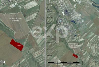 Teren de 71000 mp, în Oarja
