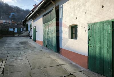 Casă cu 4 camere cu Teren 1084 Mp în Vale - 12