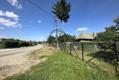 Teren de 11000 mp, în Ghirdoveni - 12