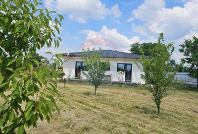 Casă individuală cu 5 camere cu Teren 4242 Mp în Vânători-Neamț - 41