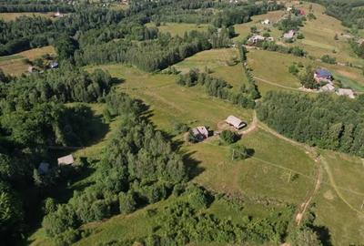 Teren de 38781 mp, în Râșca - 13