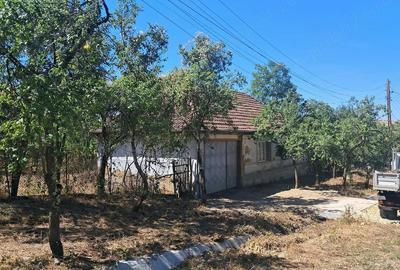Teren de 5000 mp, în Drăgoteni