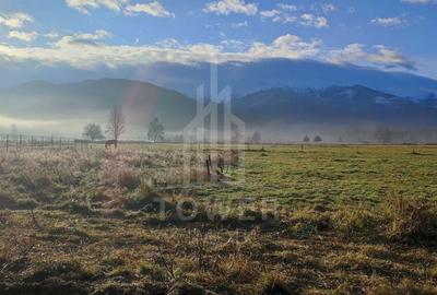 Teren agricol intravilan de 900 mp, în Porumbacu de Jos - 3
