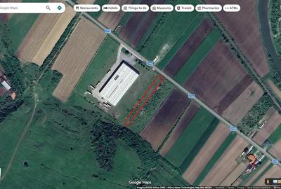 Teren de 2900 mp, în Arcalia - 2