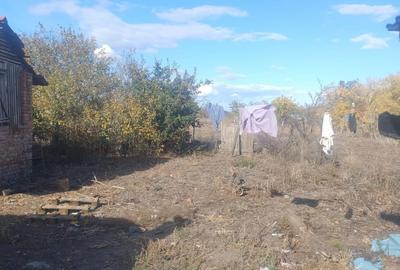 Casă cu 4 camere cu Teren 1250 Mp în Cenad