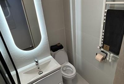 Apartament cu 2 camere semidecomandat în Palazu Mare - 13