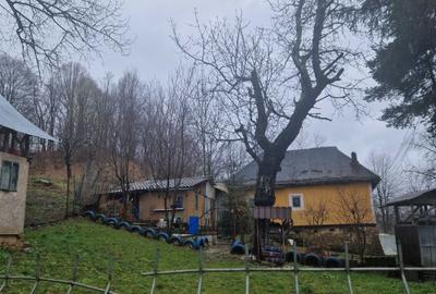 Casă cu 4 camere în Râu Alb de Sus - 3