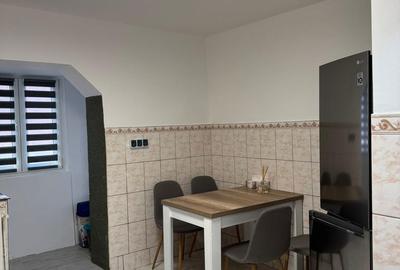 Apartament cu 2 camere decomandat în Carpați 2 - 12
