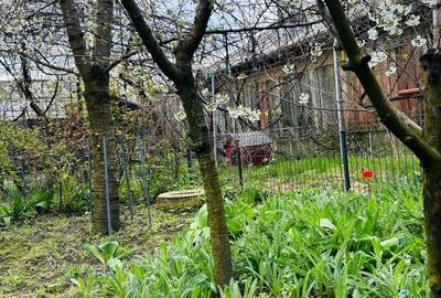 Casă cu 3 camere în CFR - 18