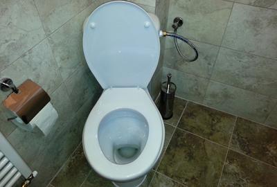 Apartament cu 2 camere decomandat, mobilat în Semicentral - 15