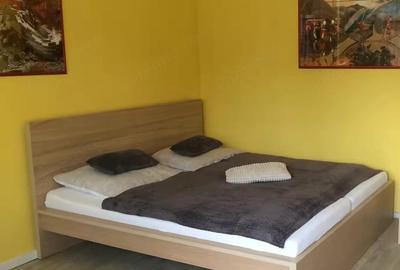Garsonieră decomandată în Badea Cârțan - 3