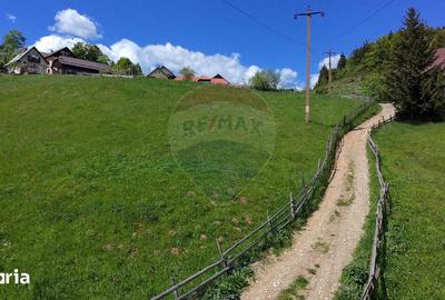 Teren de 2756 mp, în Moieciu - 4