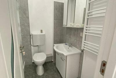 Garsonieră în Dumbrăvița - 1
