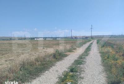 Teren de 5300 mp, în Șimnicu de Sus
