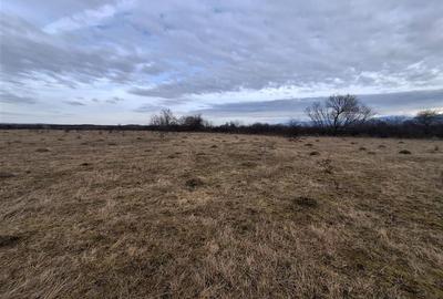 Teren agricol intravilan de 679 mp, în Arhitecților - Calea Cisnădiei - 1