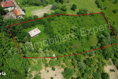 Casă cu 2 camere în Doblea - 12