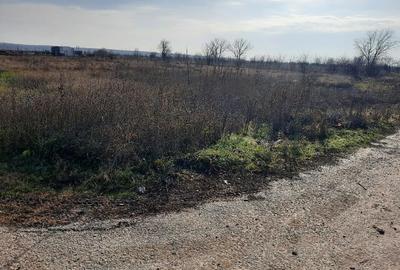 Teren Construcții intravilan de 6963 mp, în Bâcu - 4