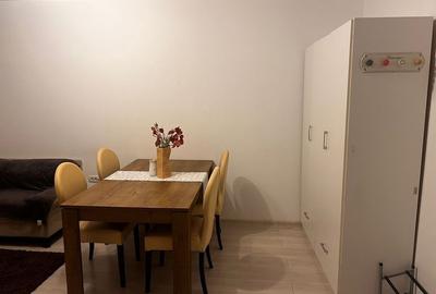 Apartament cu 2 camere în Valea Lupului - 8