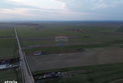 Teren de 12360 mp, în Vulturu - 2