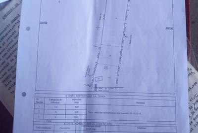 Teren de 3600 mp, în Căteasca - 3