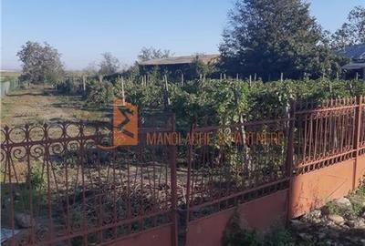 Casă individuală cu 4 camere cu Teren 2672 Mp în Râmnicelu - 6