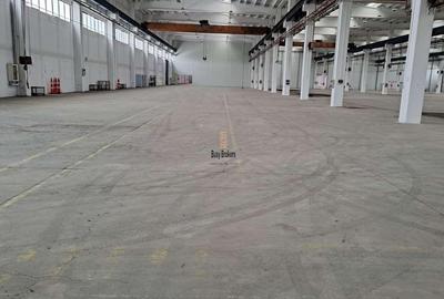 Spațiu industrial, de 19,500 mp, în Central - 3
