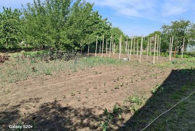 Teren de 1500 mp, în Cătămărești - 3