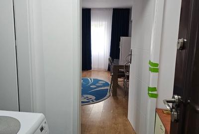Garsonieră decomandată în Dosu Bricii - 1
