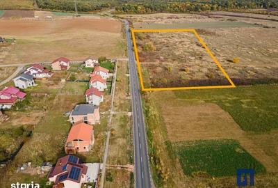 Teren de 19000 mp, în Pișchia - 7