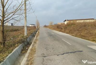 Teren de 10000 mp, în Pielești
