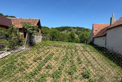 Teren de 600 mp, în Bradu - 2