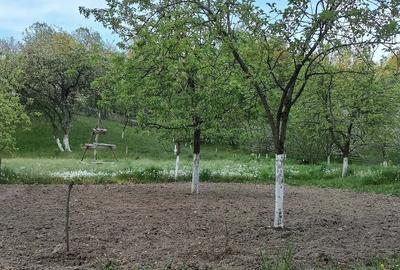 Teren de 1500 mp, în Central - 3